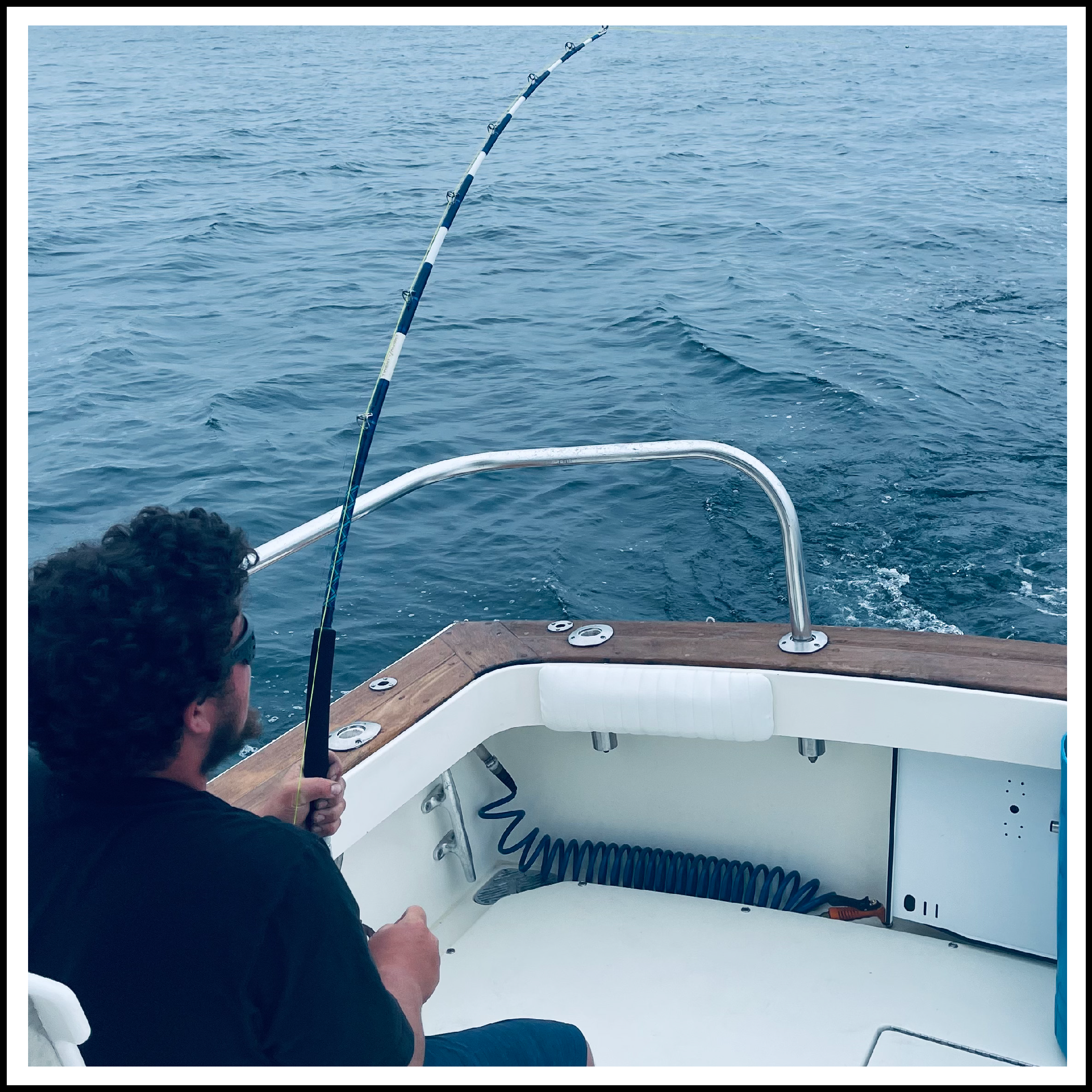 STRIPED BASS CHARTER